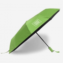 Customized Light Green 23 inches 10 Ribs Automatic Folding Umbrellas with logo