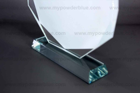 12 mm Octagon Glass Plaque shot