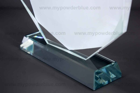 12 mm Octagon Glass Plaque B shot