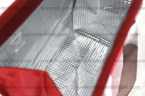 GEM Insulated Lunch Bags with Velcro shot