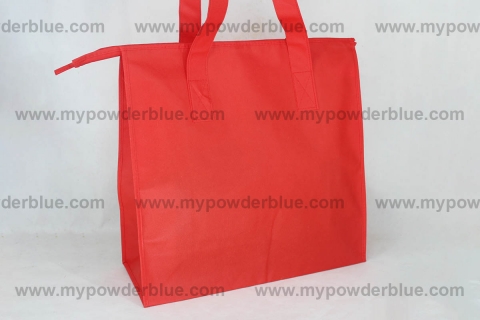 Spacious Non-Woven Eco Bags with Zipper shot