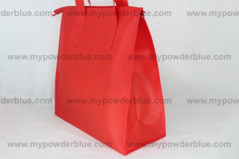 Spacious Non-Woven Eco Bags with Zipper shot