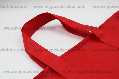 Spacious Non-Woven Eco Bags with Zipper shot