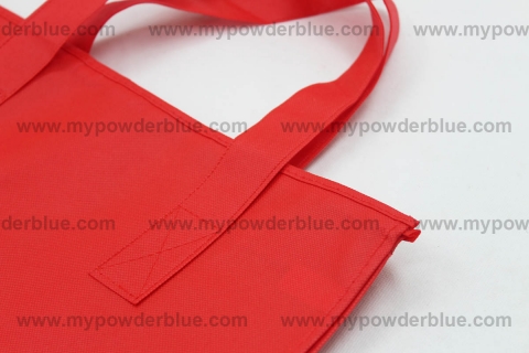 Spacious Non-Woven Eco Bags with Zipper shot